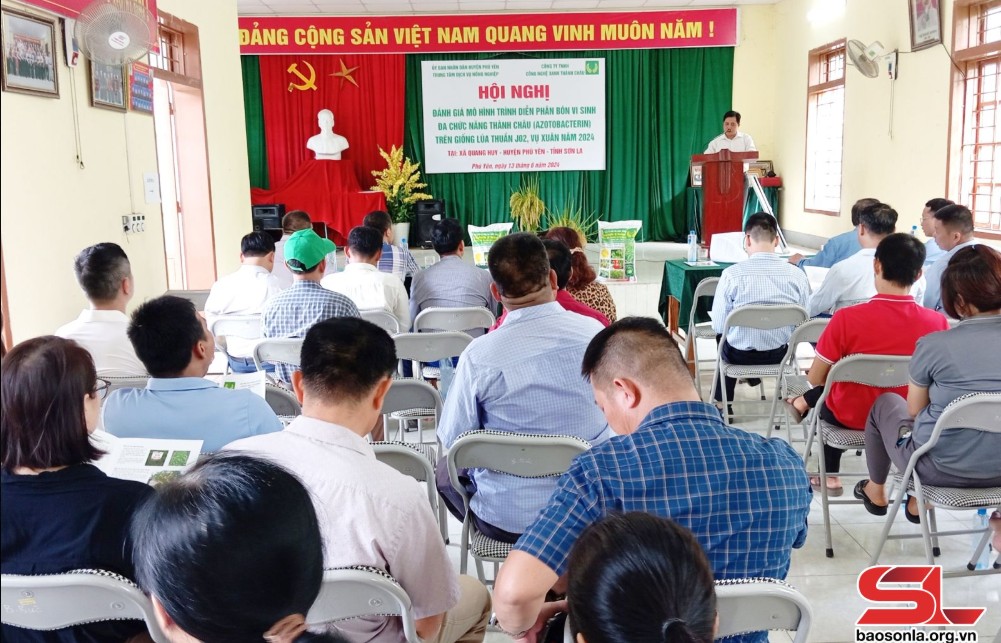 [Huyện Phù yên - Tỉnh Sơn La] Hội nghị đánh giá mô hình phân bón vi sinh đa chức năng Azotobacterin