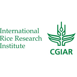 Viện Nghiên cứu Lúa gạo Quốc tế ( IRRI )