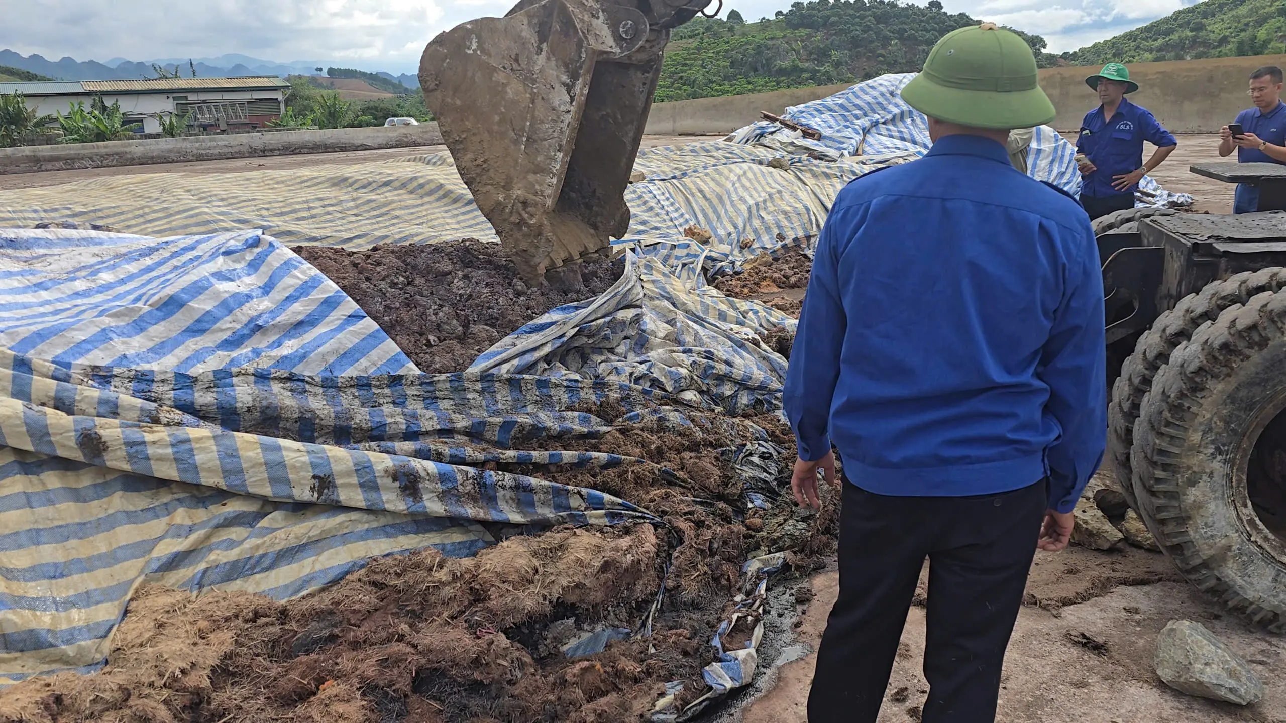 [Mô Hình Thực Tế]Xử lý 20 tấn Bã Bùn Mía tại Nhà máy Đường Sơn La: Biến chất thải thành Phân bón hữu cơ sau 45 ngày