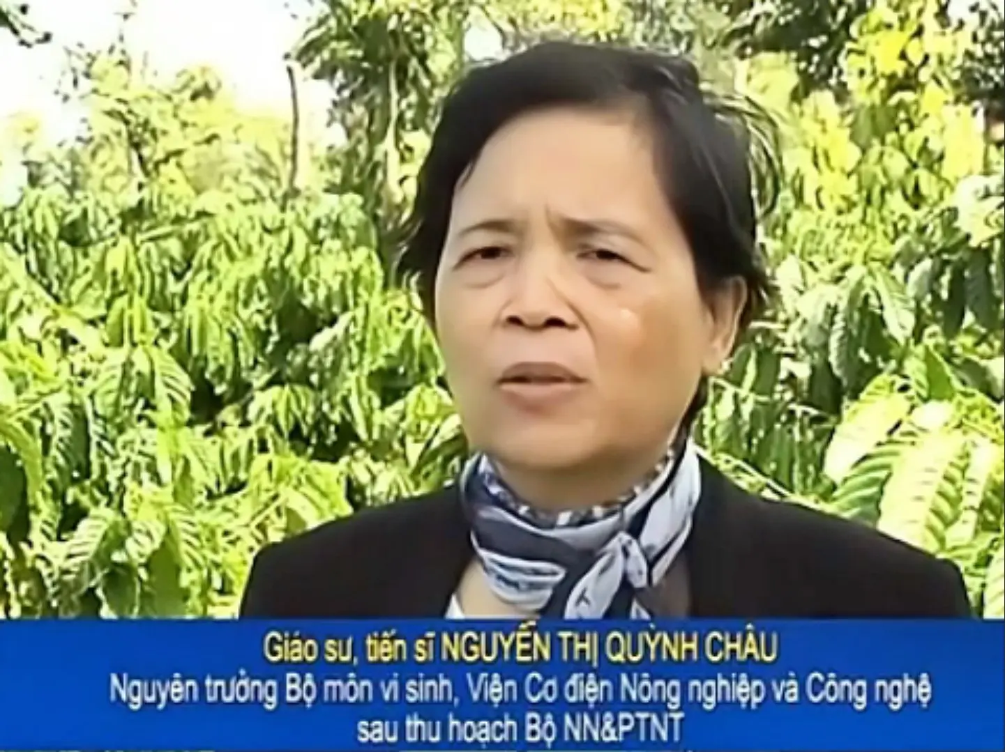 [Mô Hình Thực tế] Phân bón vi sinh Thành Châu Azotobacterin giúp tăng 35% năng suất Cà phê và Hồ tiêu tại Đắk Lắk